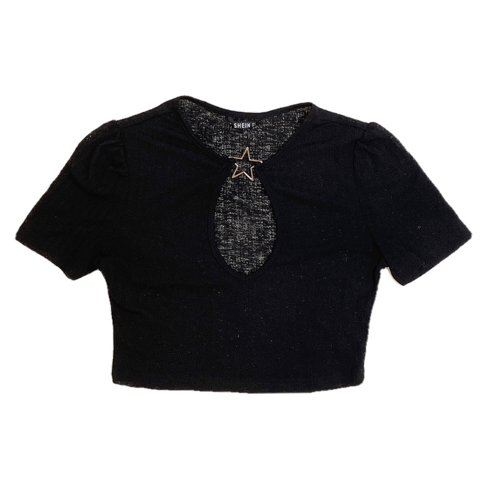 Shein Black Sheer Cropped Tee with Open neck Star